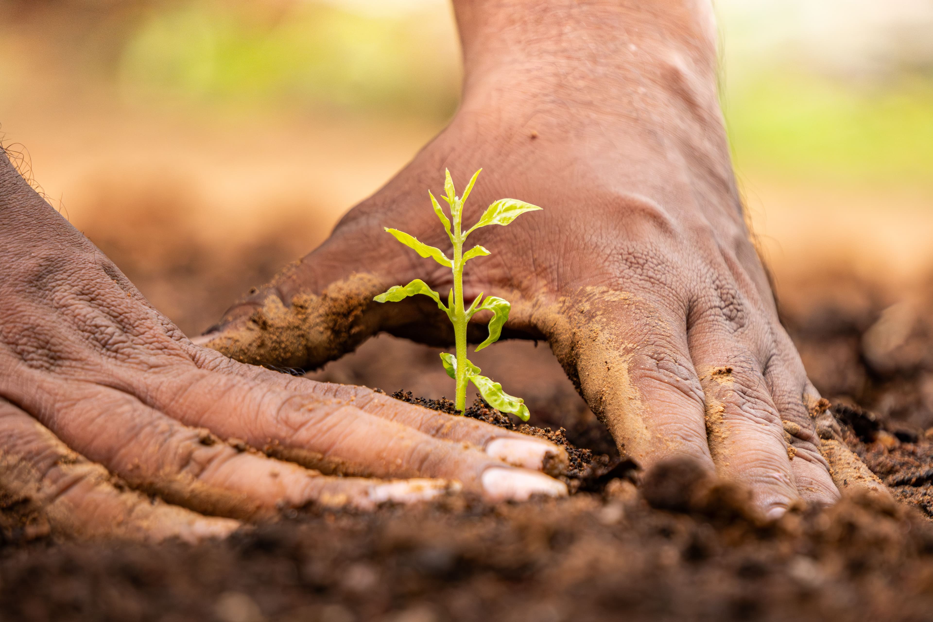Sustainability in Action: Our IGBC Certified Spaces